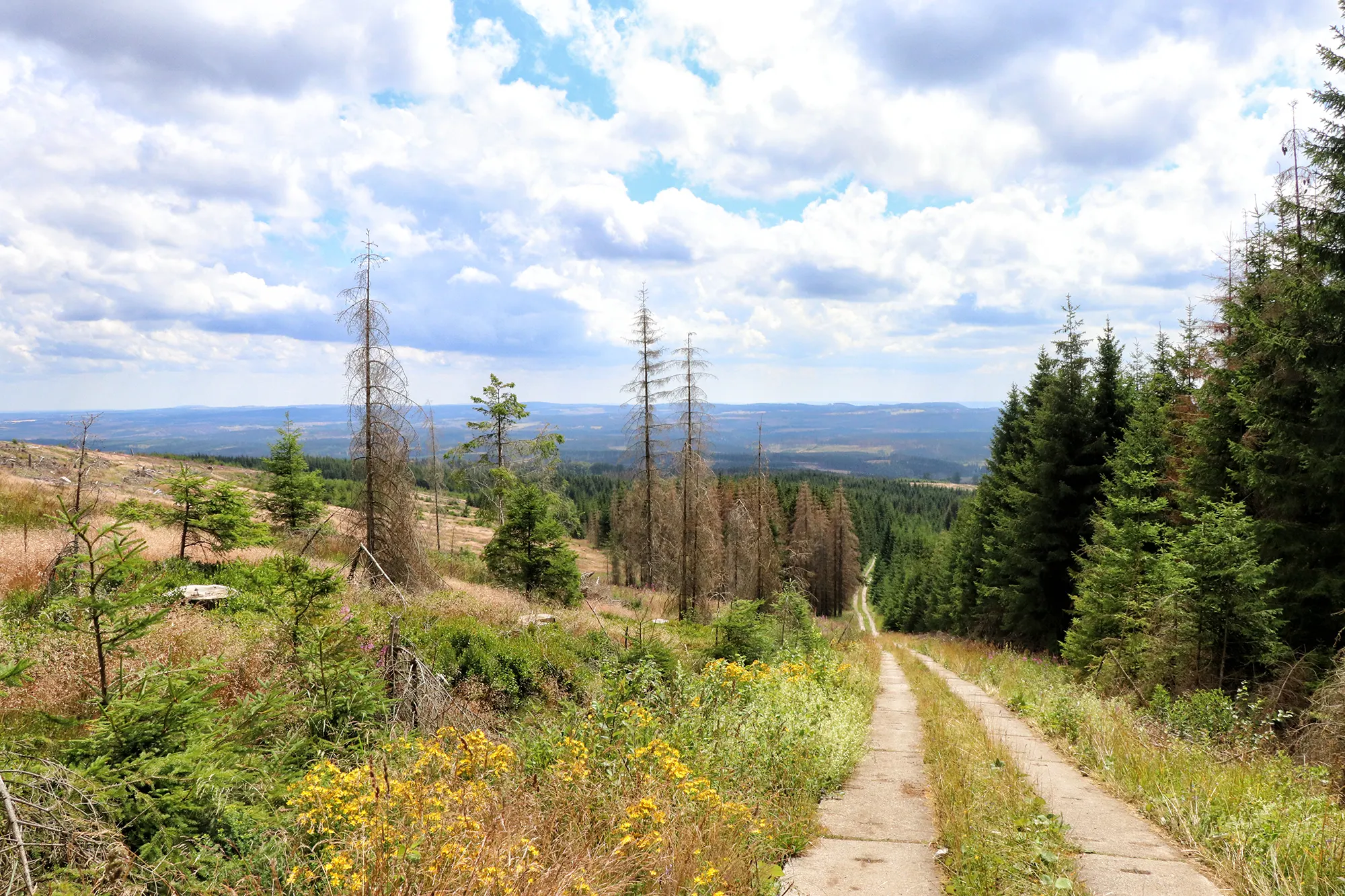Harz Gebergte