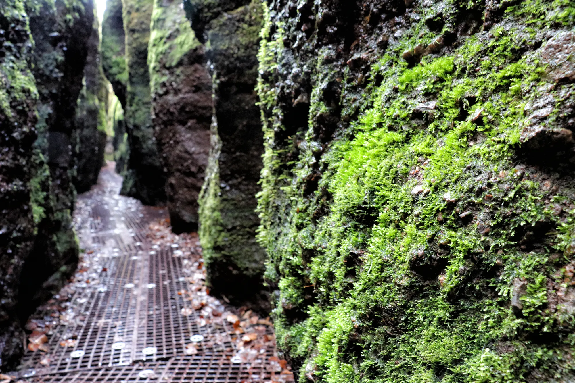 Eisenach - Drachenschlucht