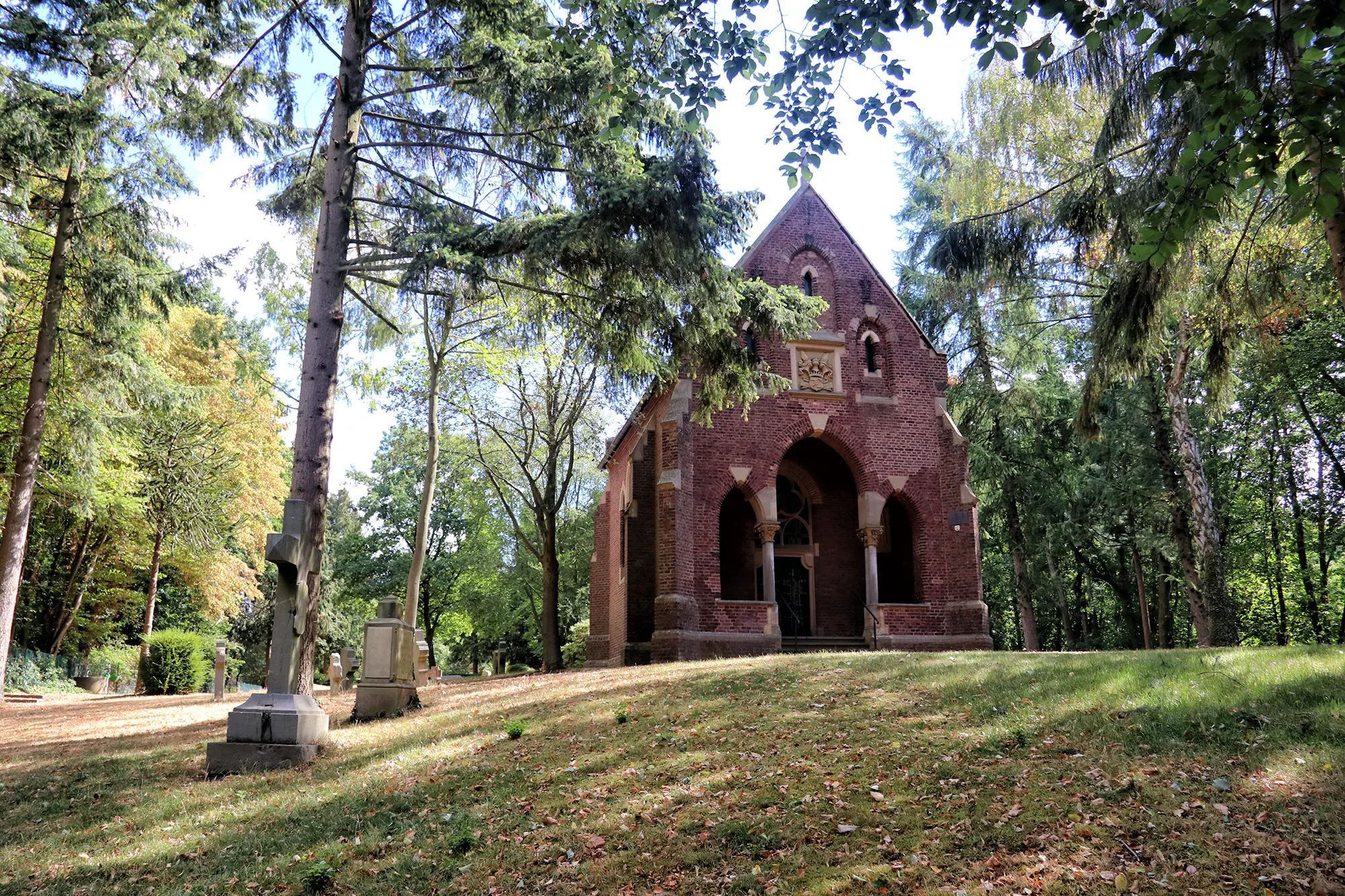 Birgeler Urwald - Friedhofsberg