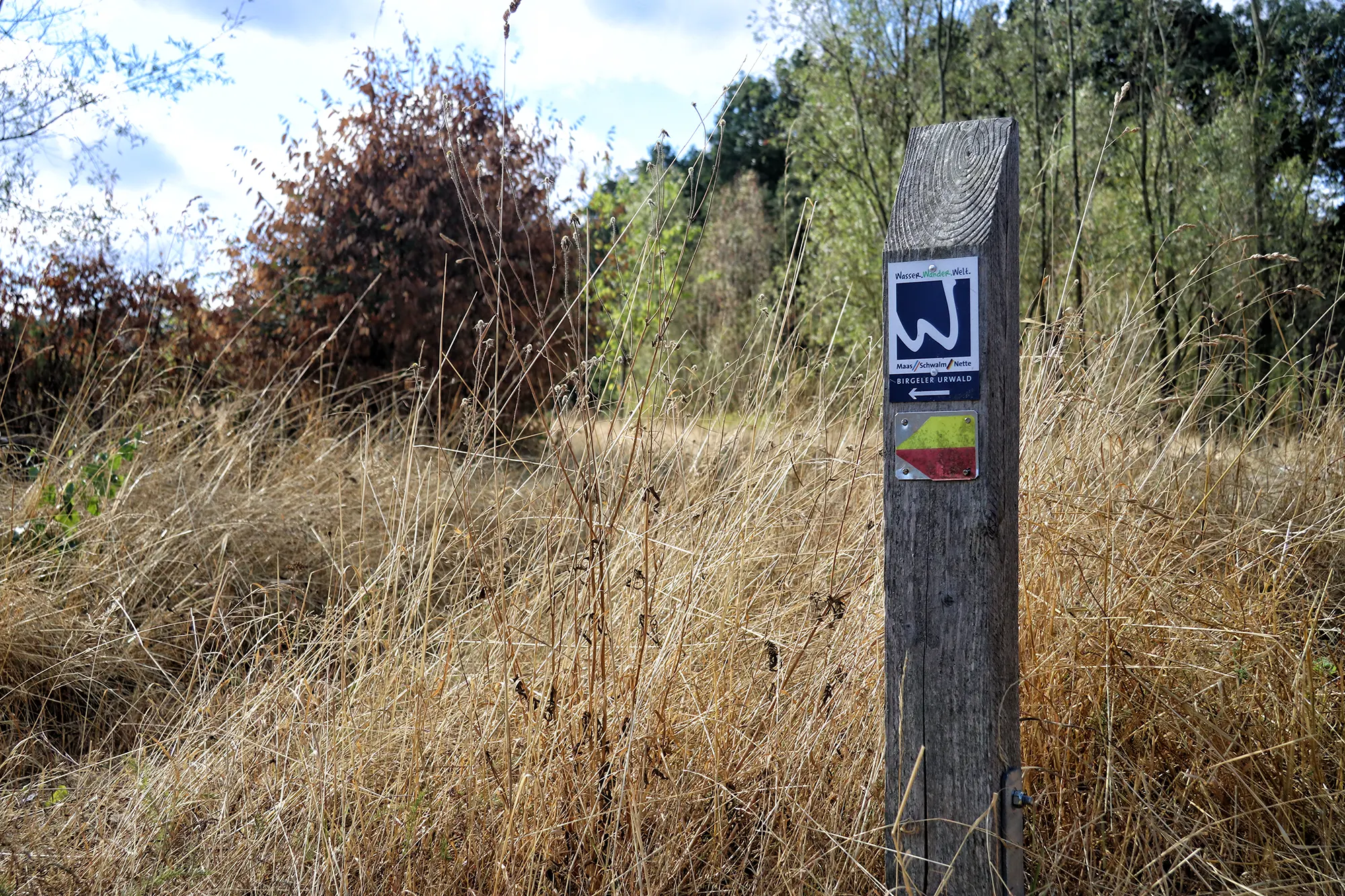 Birgeler Urwald - Wasser.Wander.Welt