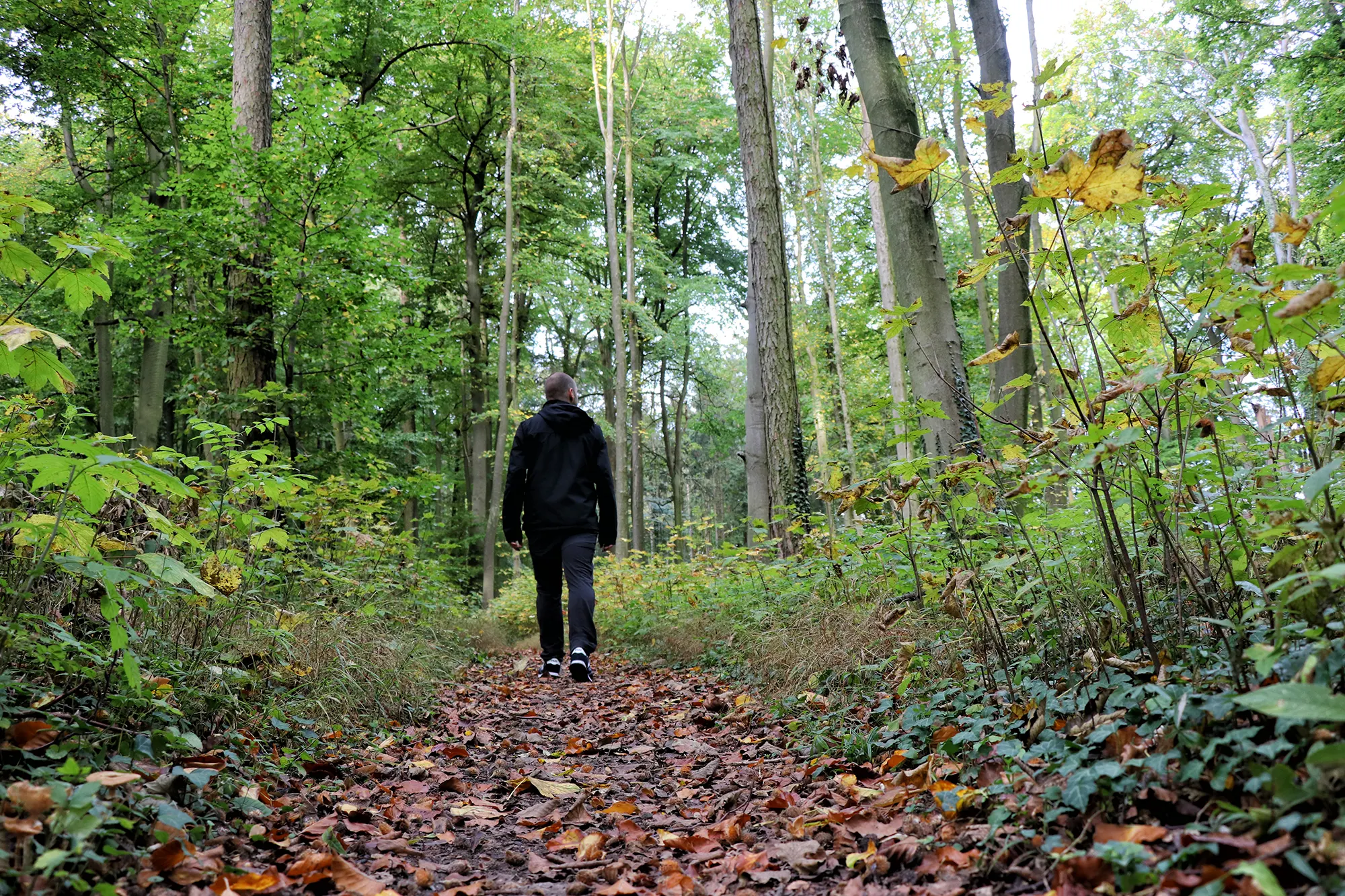 Teutoburger Wald - Wandelen